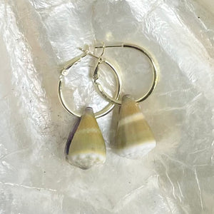 Driftwood Dreams - Chunky Cone Shell Hoops