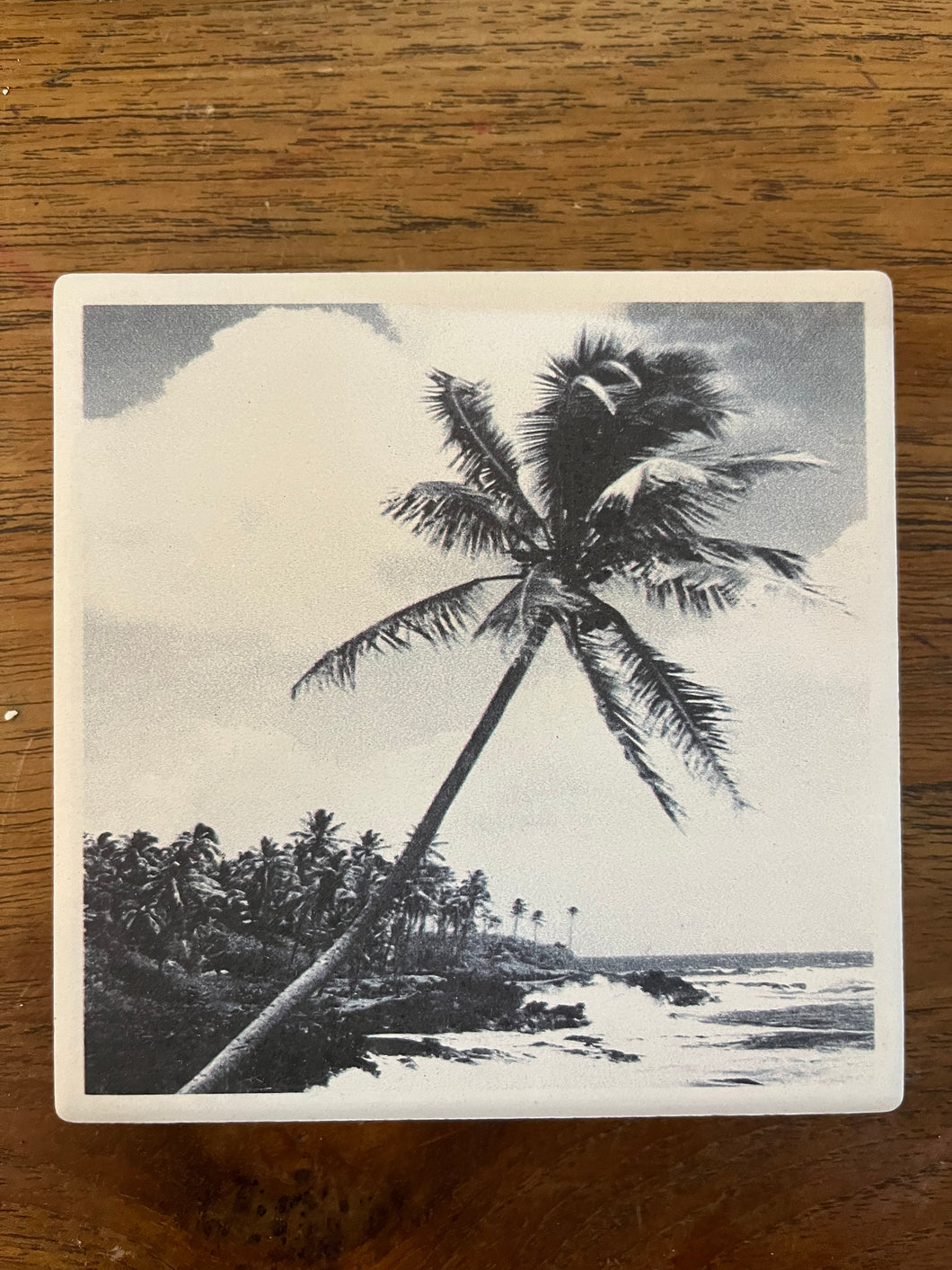 Ceramic Coaster - Beach Palms