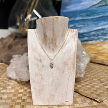 Driftwood Dreams - Dainty Shell necklace