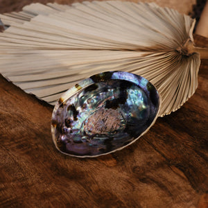 Abalone Shell Dish