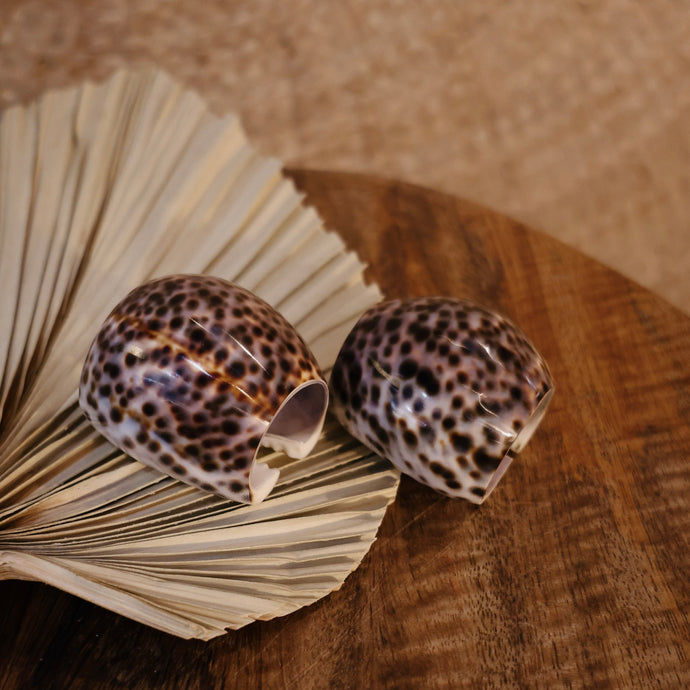 Tiger Cowrie Napkin Cuff