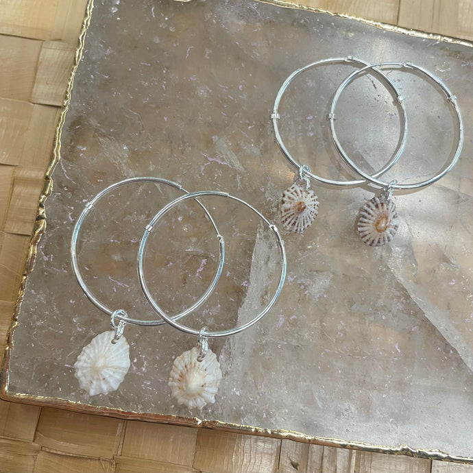 Driftwood Dreams - Sterling Silver Thin Opihi Shell Hoops