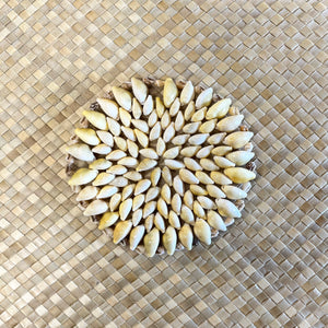 Cowrie Shell Coaster