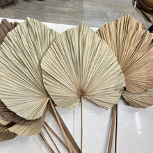 Dried Fan Palm Decor