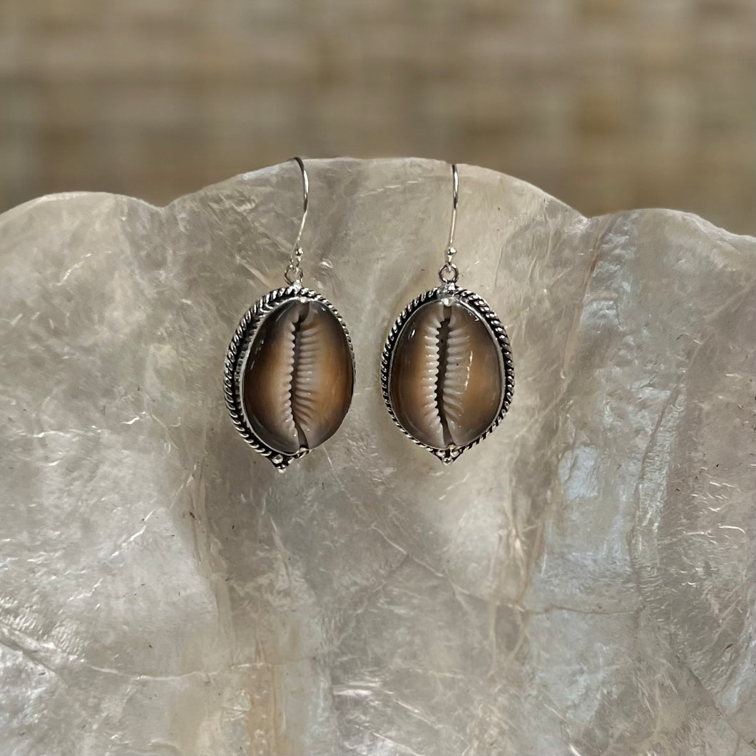 Brown Cowrie Shell Earrings