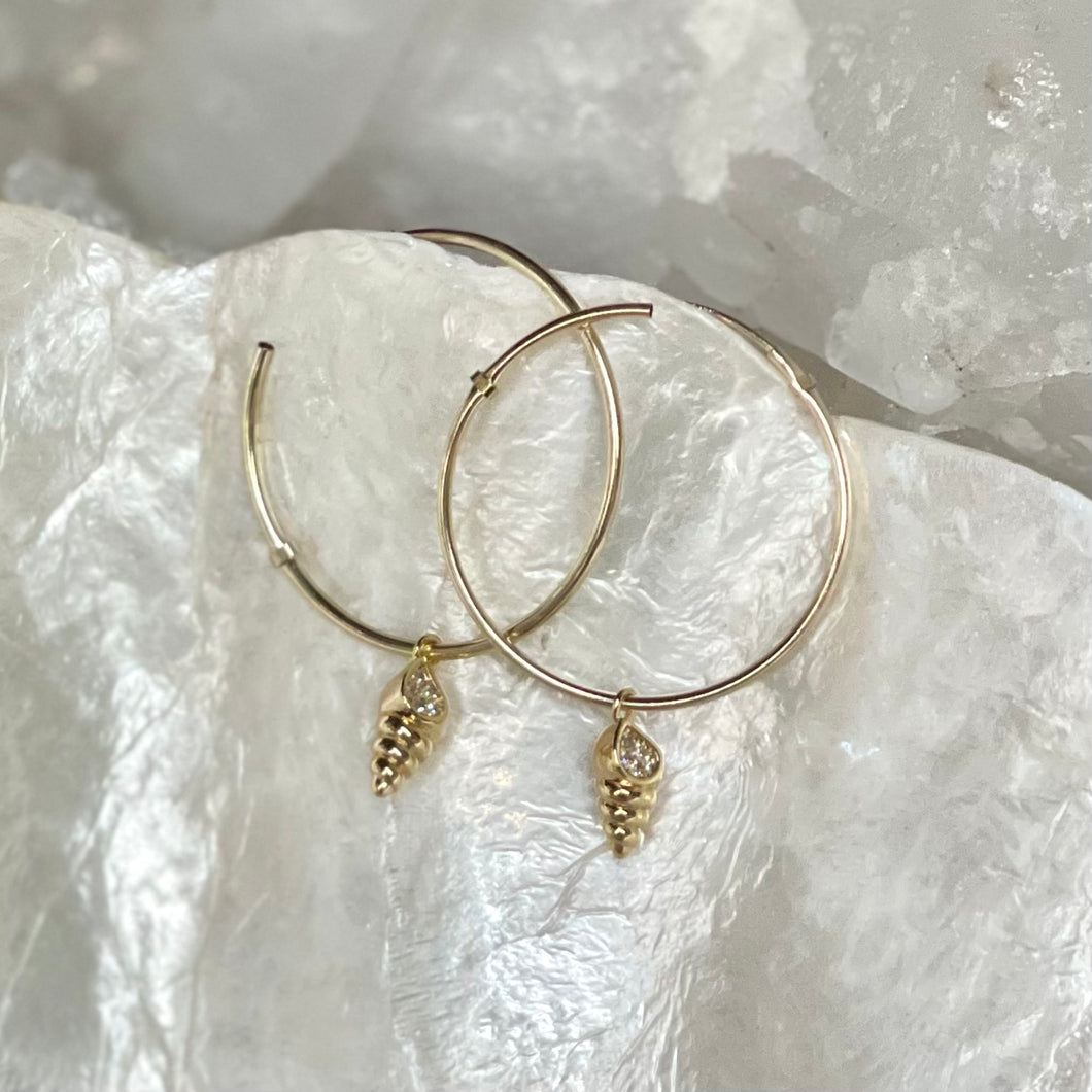 Driftwood Dreams- Gold Shell Charm Hoops