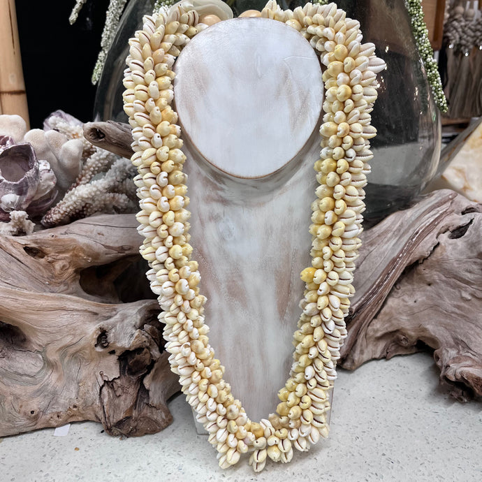 Large Cowrie Shell Lei