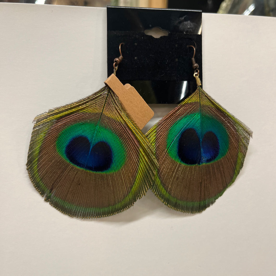 Peacock Feather Earrings