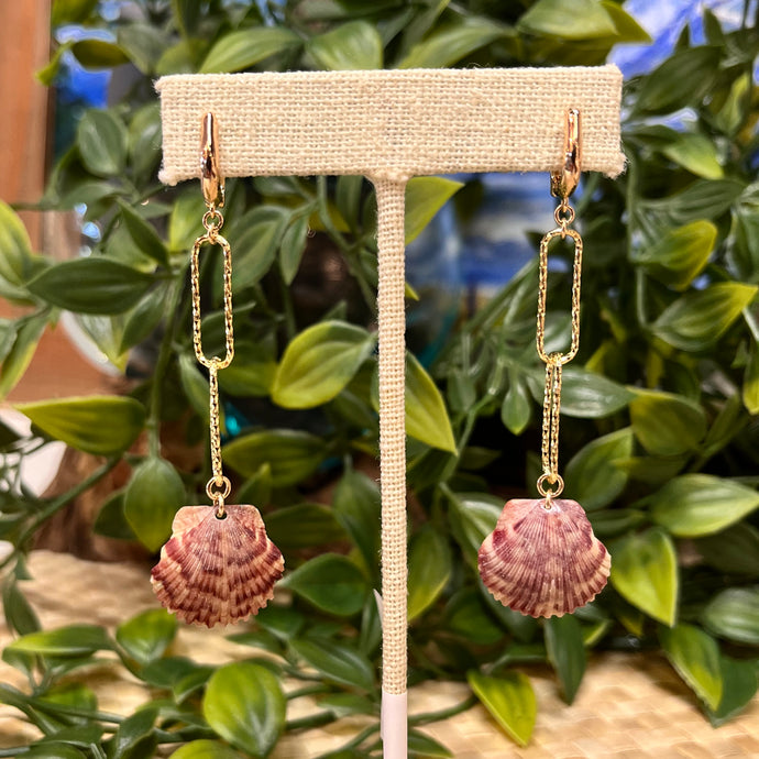 Driftwood dreams- Tiger Shell Chain Link Earrings