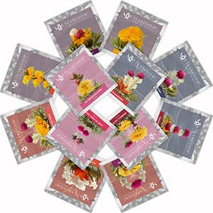 Teabloom Flowering Tea Chest - Blooming Tea Garden