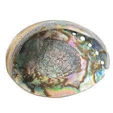 Blue Abalone Shell Dish