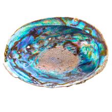 Abalone Shell Dish