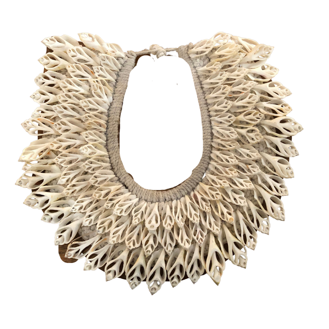 Sliced Shell Wall Necklace