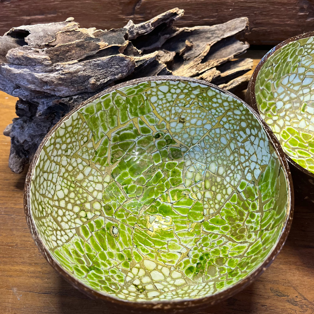 Colorful Cracked Coconut Shell Bowls