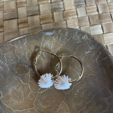Driftwood Dreams - Opihi Shell Thick Hoops