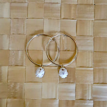 Driftwood Dreams - Thin Opihi Shell Hoops (Gold)