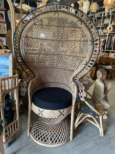 Woven Style Peacock Chair
