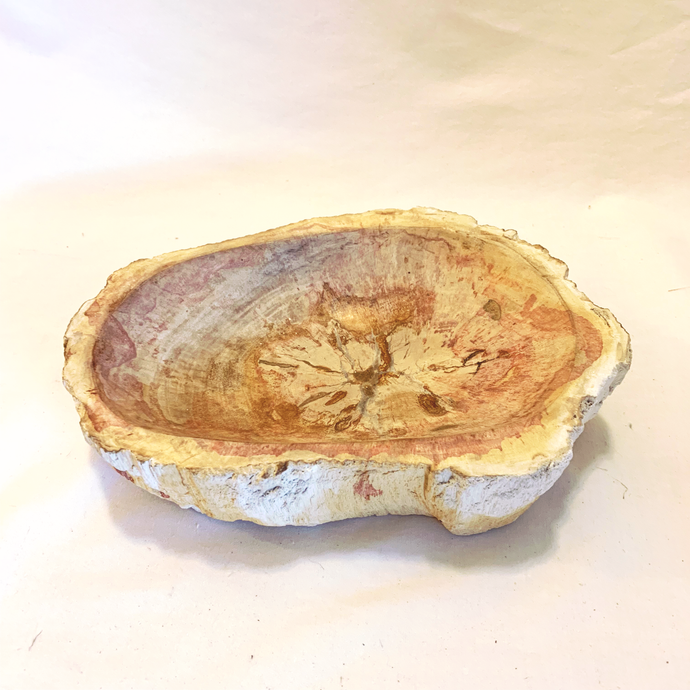 Petrified Wood Stone Dish