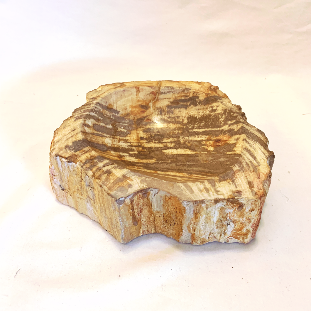 Petrified Wood Stone Dish