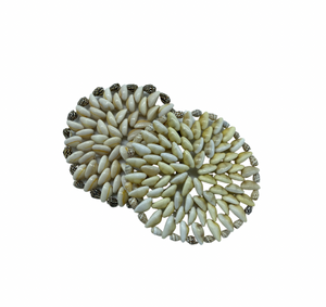 Cowrie Shell Coaster