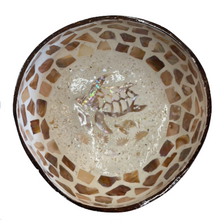 White Abalone Shell Coconut Shell Bowl