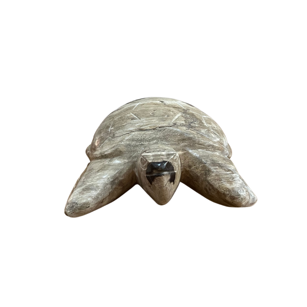 Petrified Wood Turtle