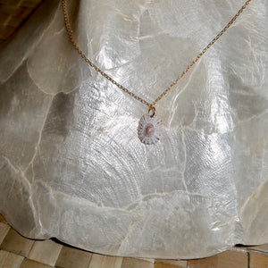 Driftwood Dreams - Dainty Opihi Shell Necklace