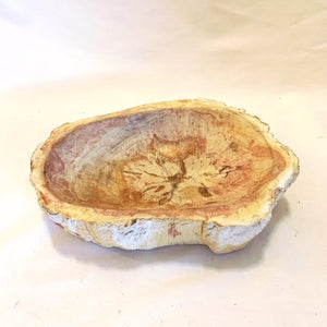 Fossil Bowl